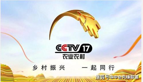 投放央视广告的优势及六大作用